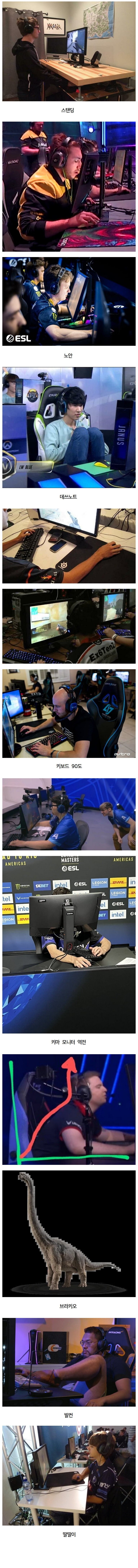 i1242252602.jpg