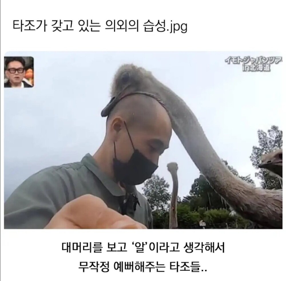 20250515065720.0.5829707.jpg