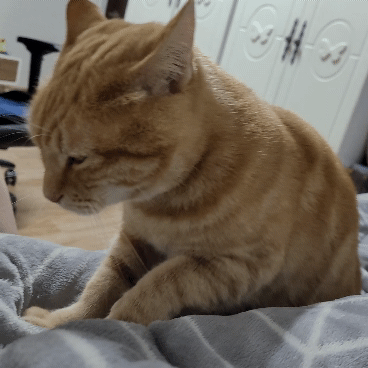 i0119970665.gif