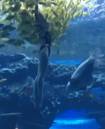 i0423975634.gif