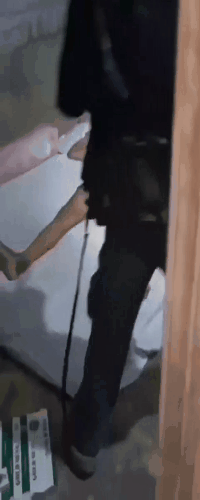 i0537498228.gif