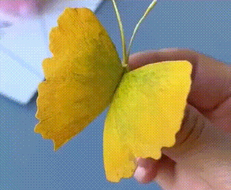 i0609307572.gif