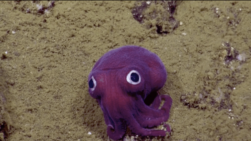 i0618445612.gif