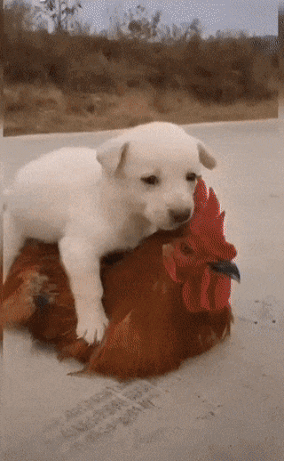 i0728628730.gif