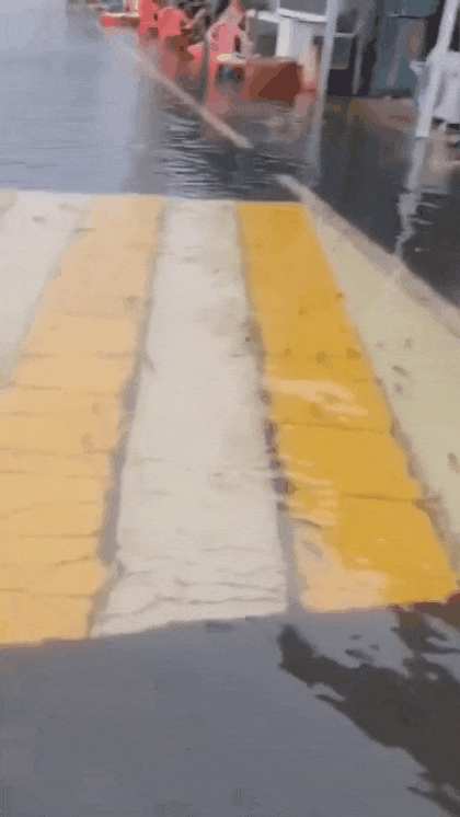i0762521265.gif
