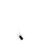 i0821916079.gif