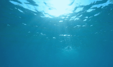 i0959187106.gif