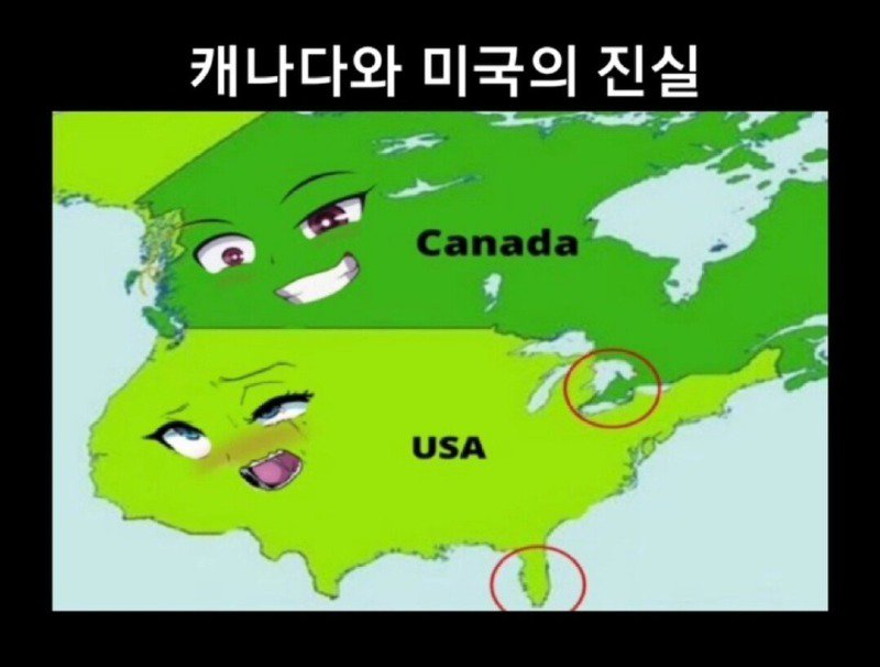 i1114988483.jpg