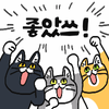 i1128334299.png