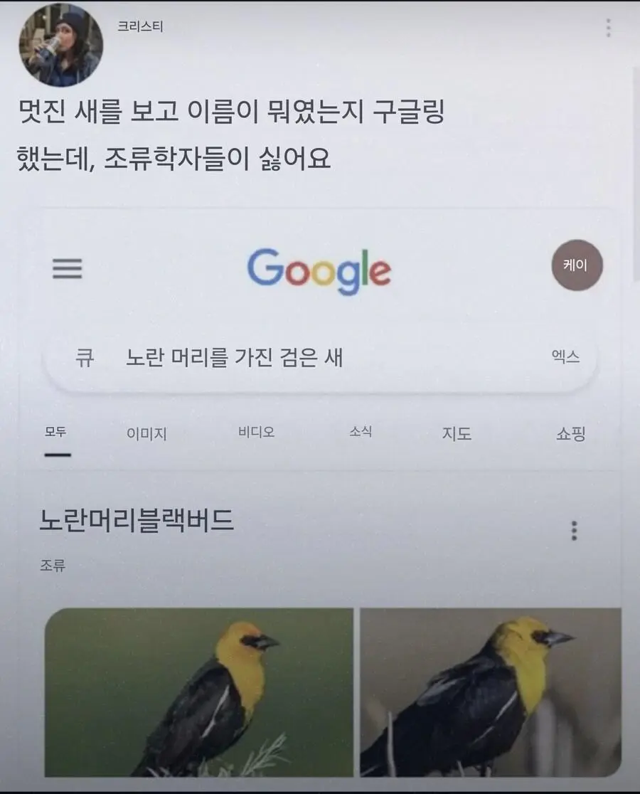i1163506455.webp