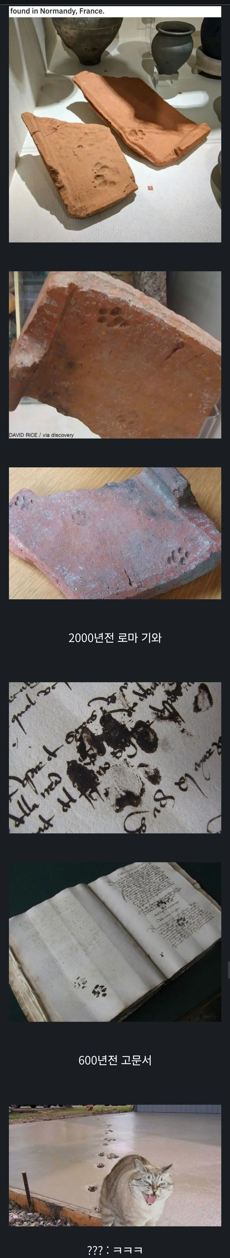 i1224640337.webp