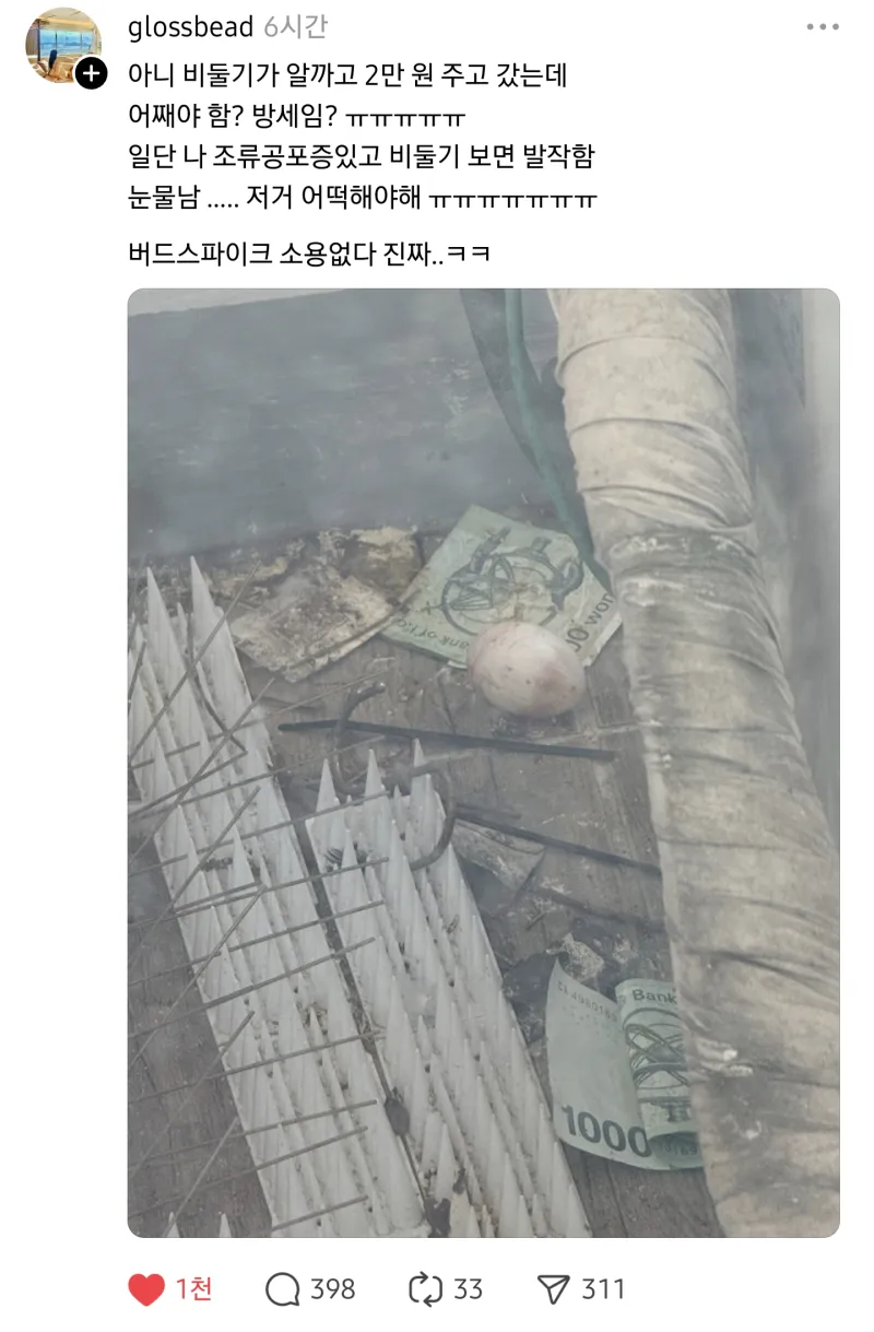 i1240683748.webp