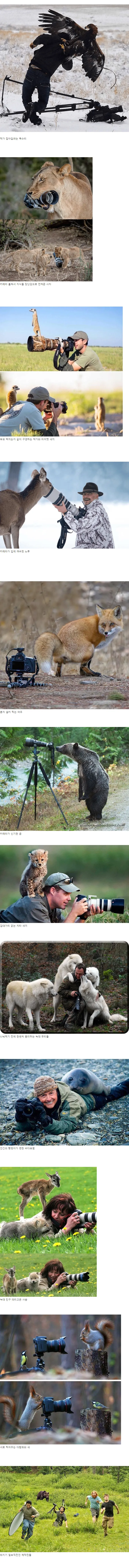i1244362739.webp