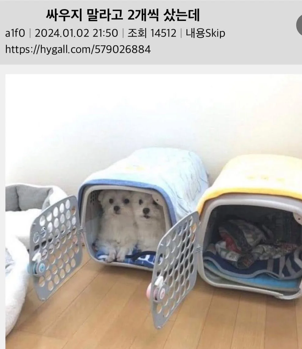 i1262911615.webp