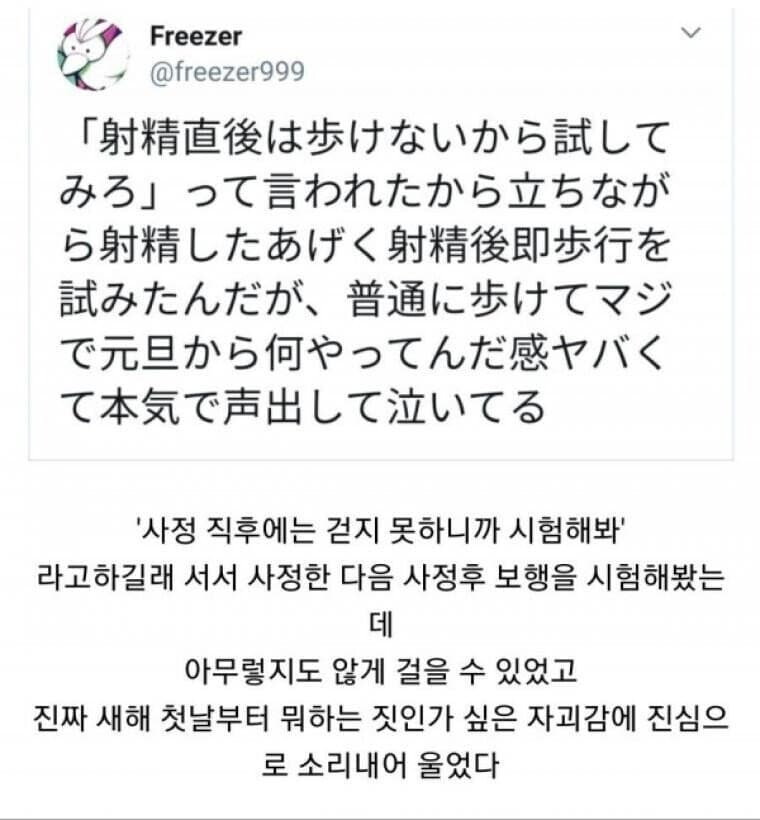 i1295118391.webp