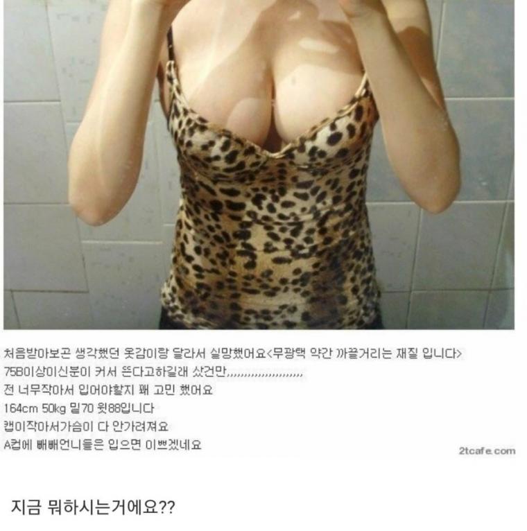 i1297002284.jpg