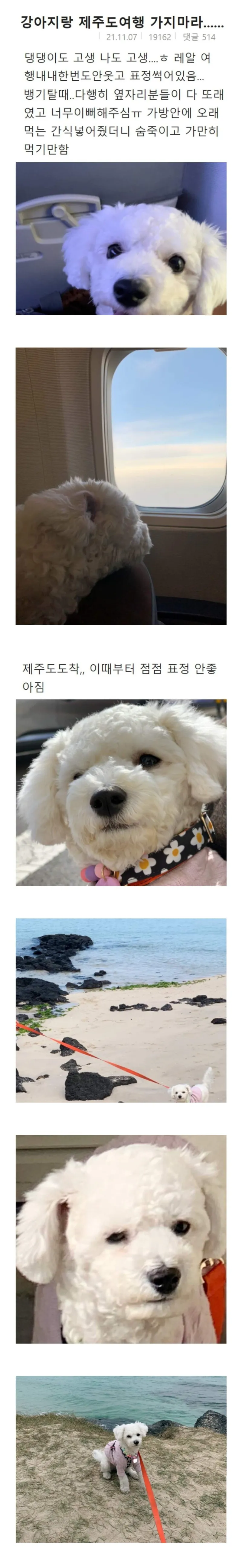 i1310012533.webp