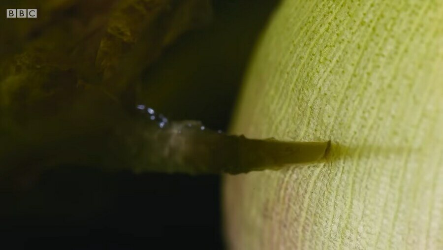 i1344919819.jpg