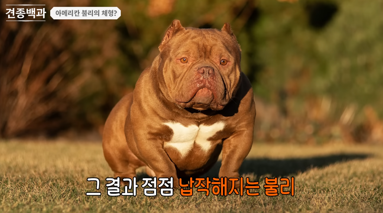i1376465561.png