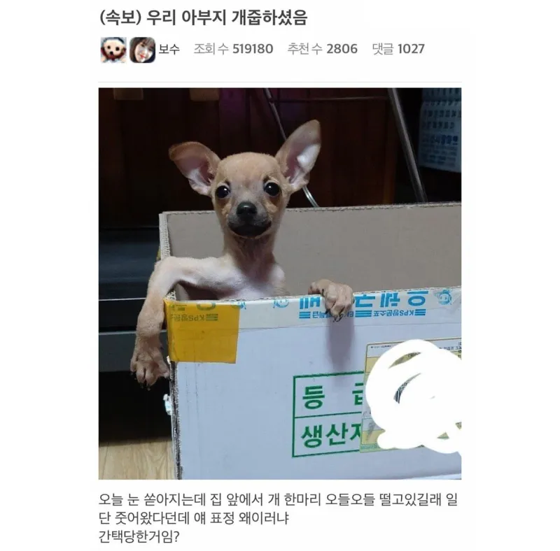 i1379504330.webp