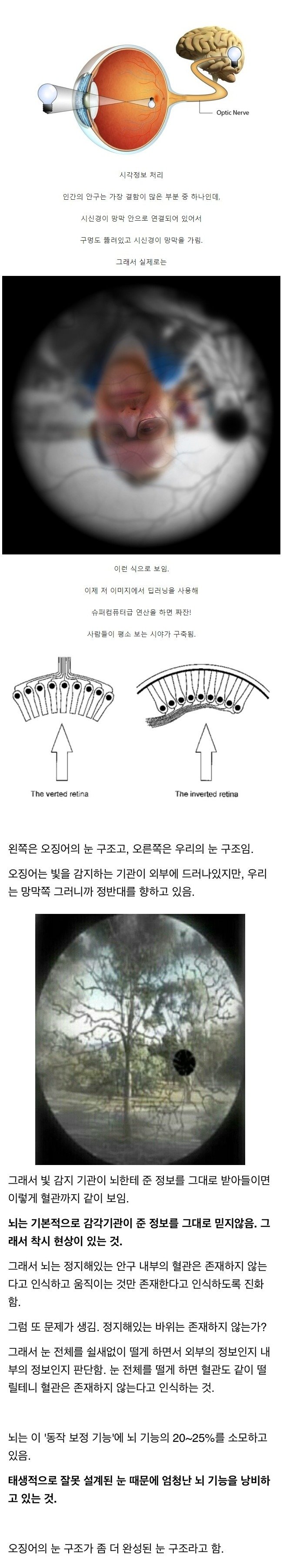 i1382835075.jpg