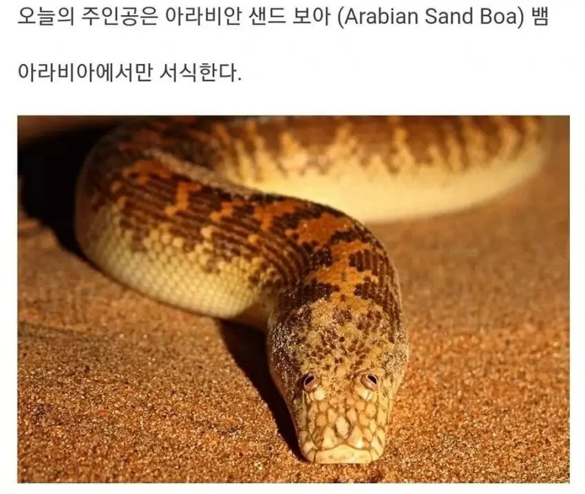 i1408665279.webp