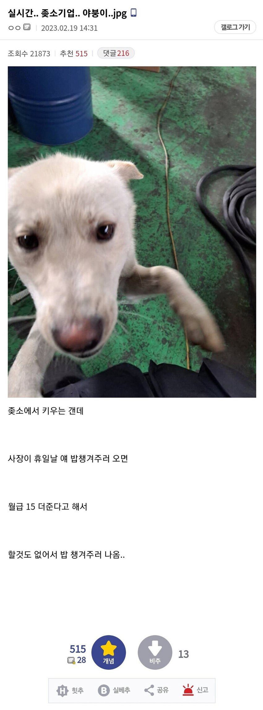 i1434160975.png