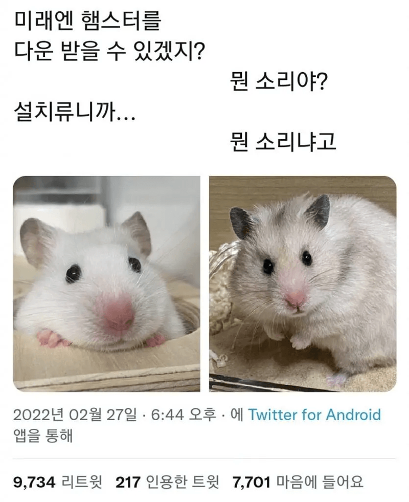 i1508795653.png