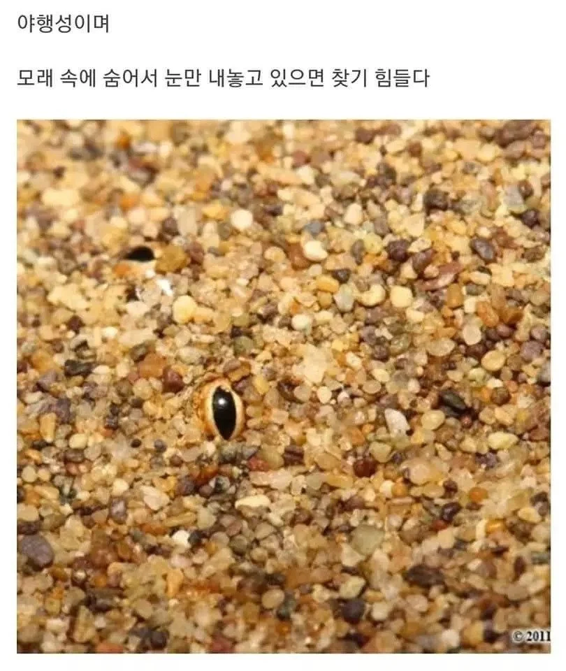 i1519298055.webp