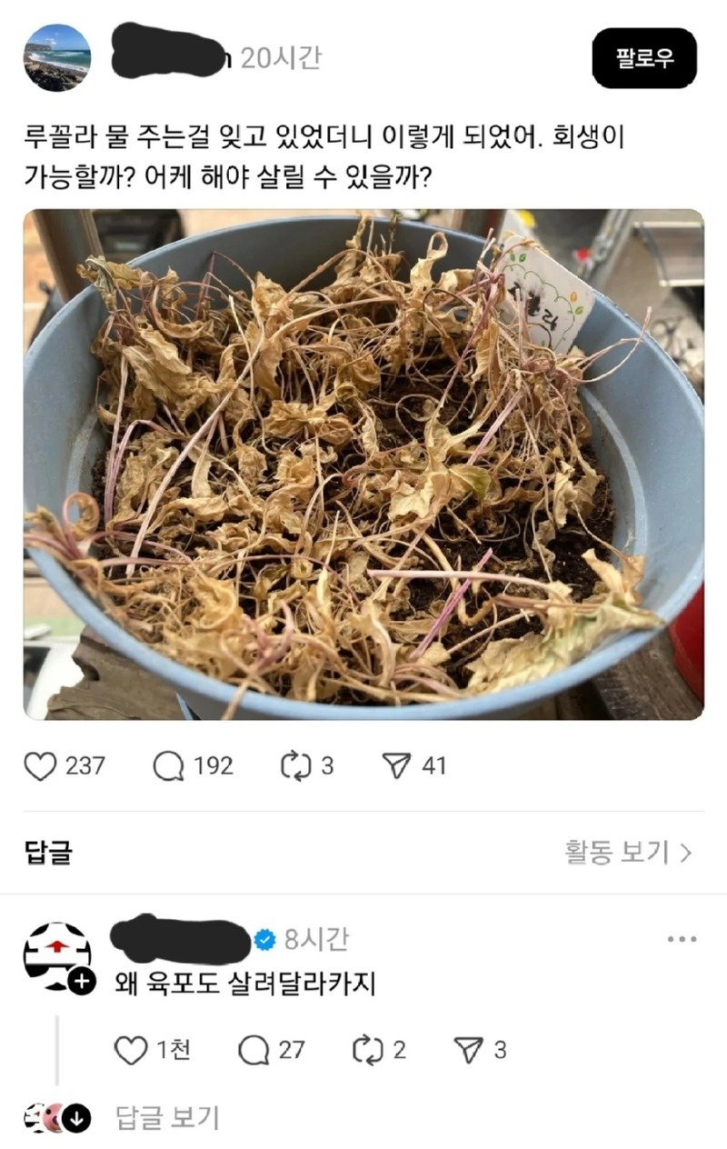 i1525840756.jpg