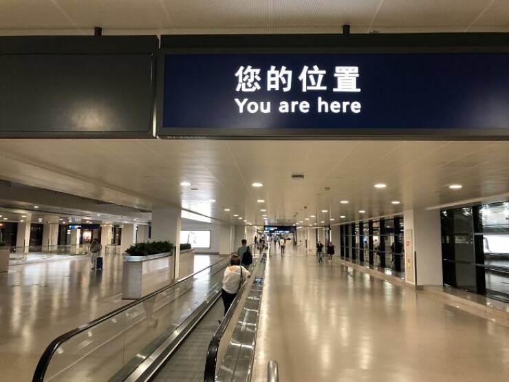 i1561555014.jpg