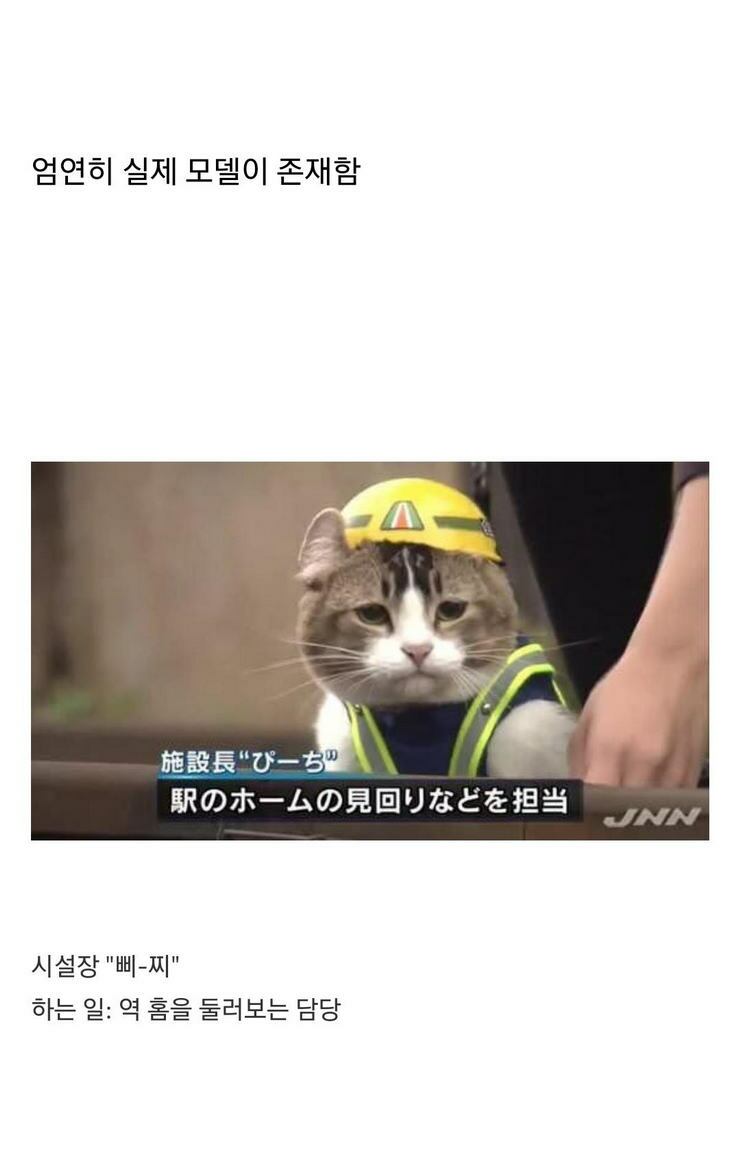i1733314807.jpg