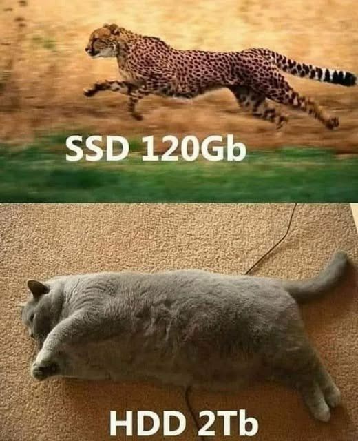 i1739007578.jpg