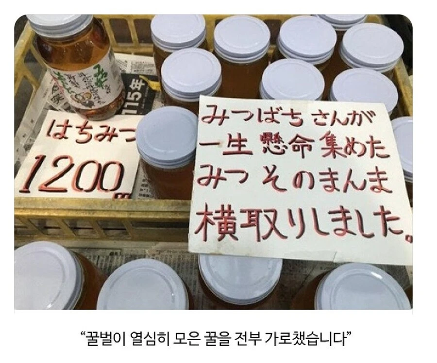 i1767941377.webp
