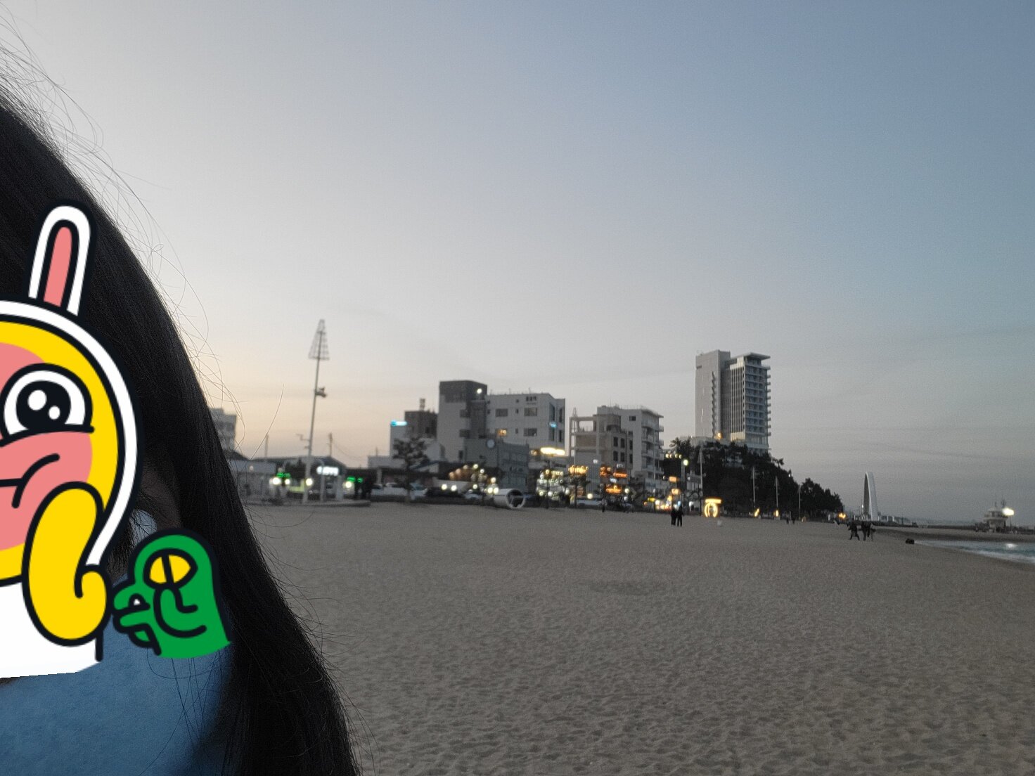 i1803022433.jpg