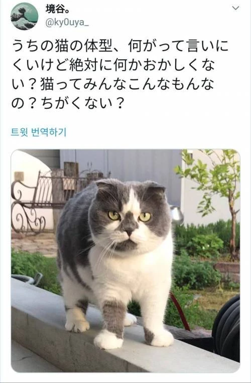 i1810767690.webp