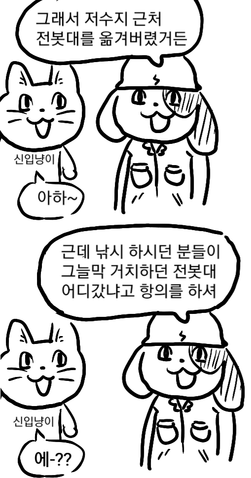 i1955179120.png