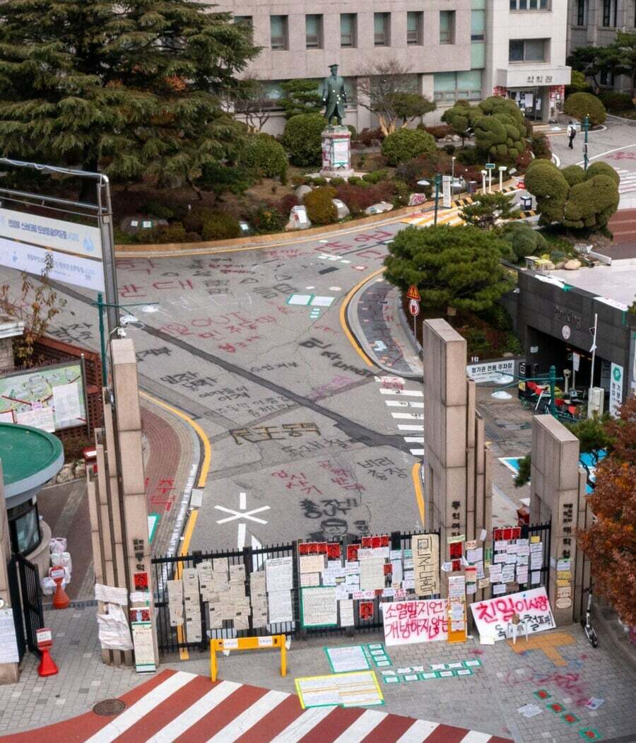 i1962203048.jpg