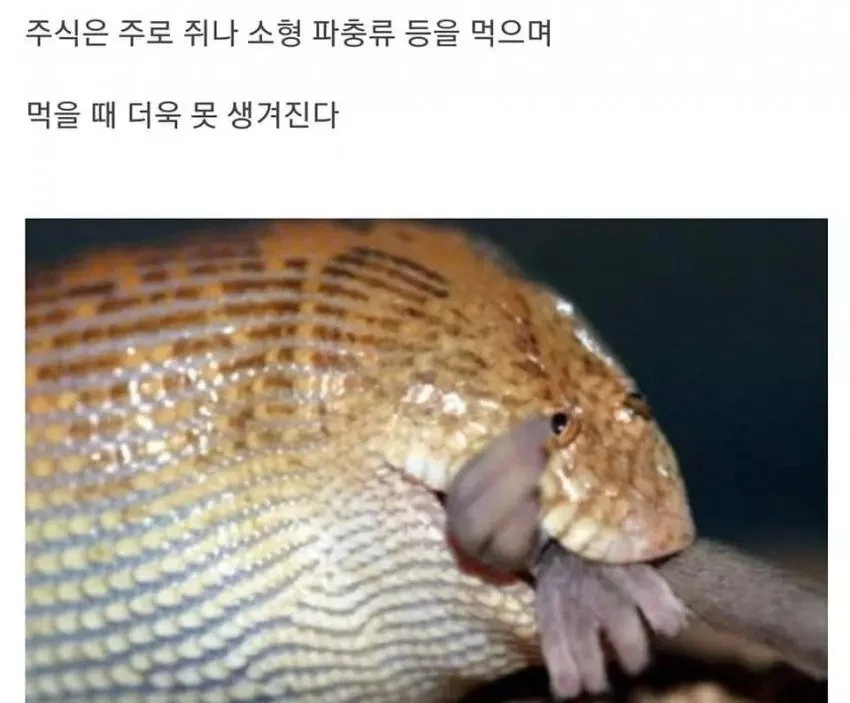 i1977627876.webp