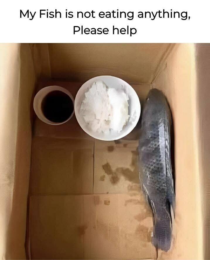 i1977860074.jpg