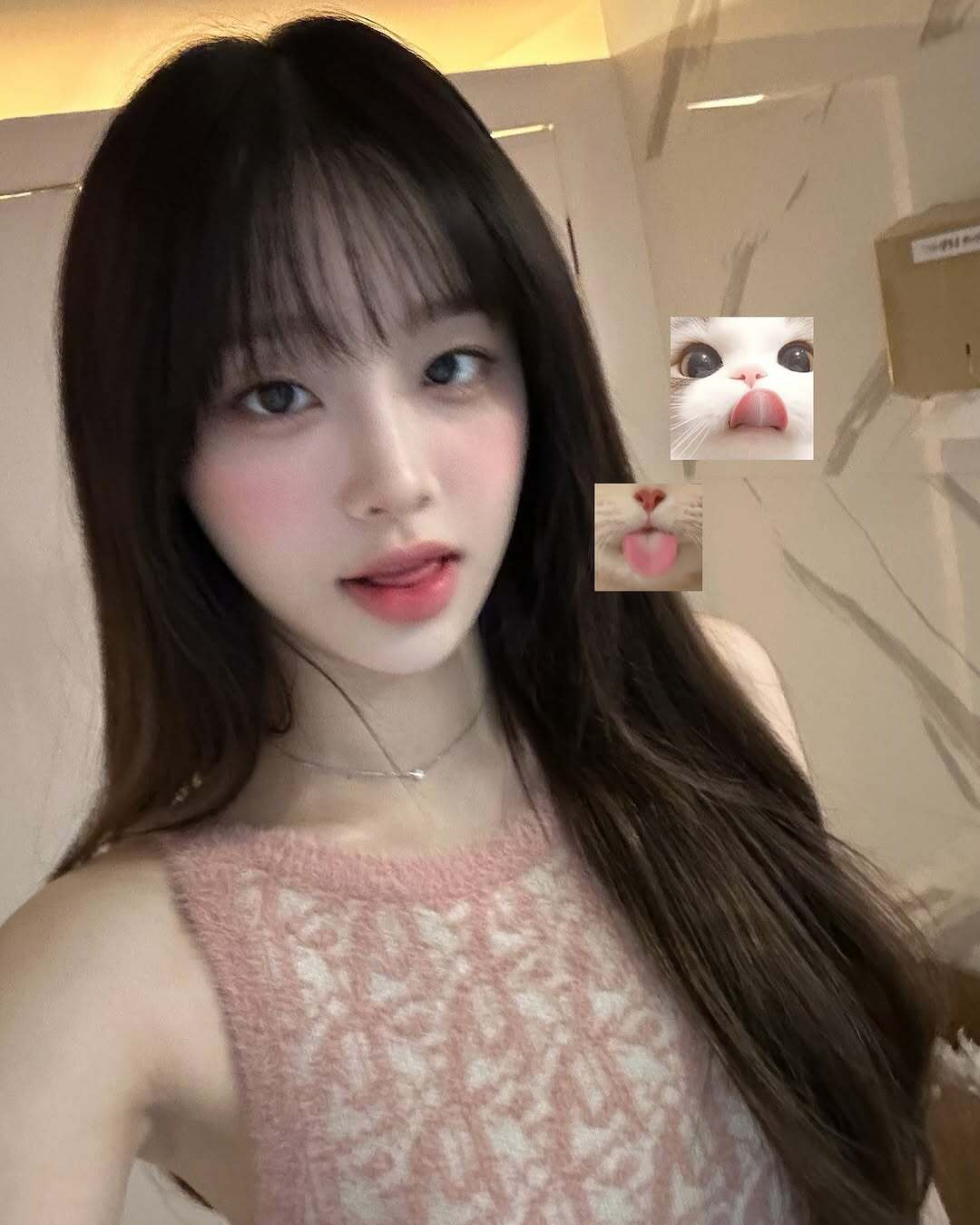 i1792926429.jpg